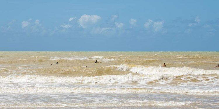 Cabedelo sedia Circuito Brasileiro de Surf Adaptado (ParaSurf) 2023