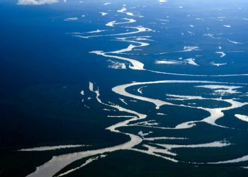 Coalizão de 19 bancos de países amazônicos promete R＄ 4,5 bi em crédito verde