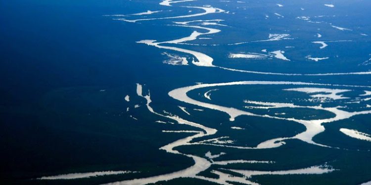 Coalizão de 19 bancos de países amazônicos promete R＄ 4,5 bi em crédito verde