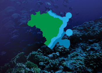 Amazônia Azul: edital vai selecionar projetos para o desenvolvimento sustentável da costa brasileira