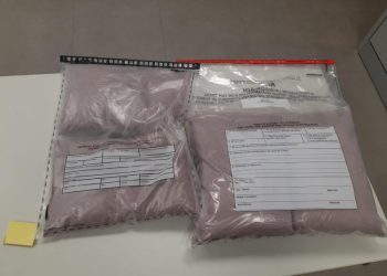 Polícia Federal investiga tráfico internacional de droga extraída da jurema preta na Paraíba