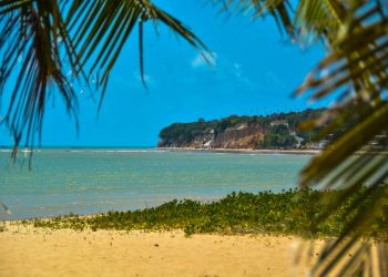 Secretaria de Meio Ambiente fará ação local no Dia Mundial da Limpeza