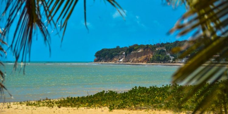 Secretaria de Meio Ambiente fará ação local no Dia Mundial da Limpeza