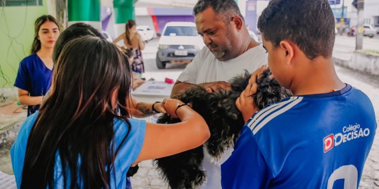 Com a chegada de 34 mil doses, Prefeitura de João Pessoa retoma nesta quinta-feira vacinação antirrábica