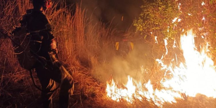 Força-tarefa tenta controlar incêndio no entorno do Parque Estadual Serra da Santa Catarina