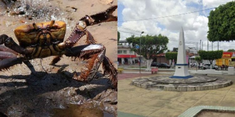Lei reconhece cidade de Bayeux como ‘Terra do Caranguejo’
