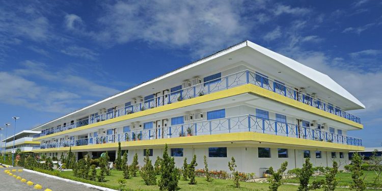 Faculdade proíbe que alunos alimentem e deem água a animais no Campus