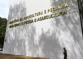 Oito lotes de café são apreendidos com presença de impurezas