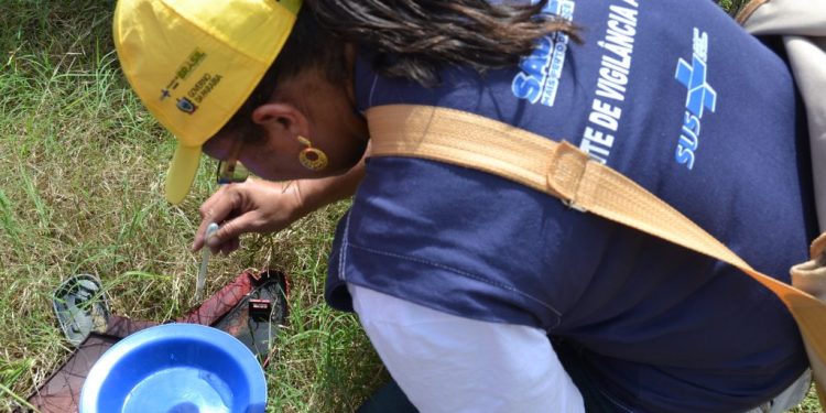 João Pessoa registra redução dos casos de dengue nos últimos quatro meses