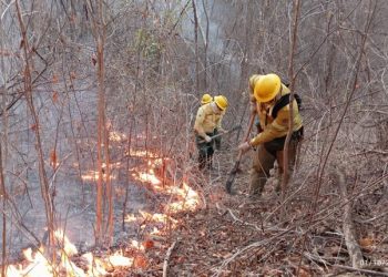 Força-tarefa controla principais focos do incêndio na Serra da Santa Catarina