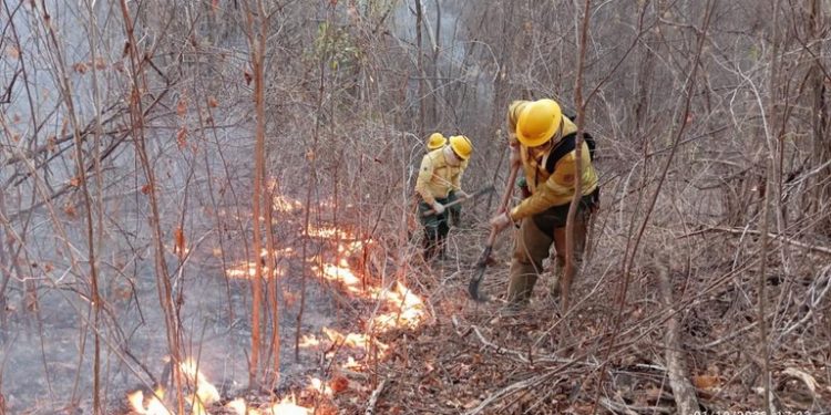 Força-tarefa controla principais focos do incêndio na Serra da Santa Catarina