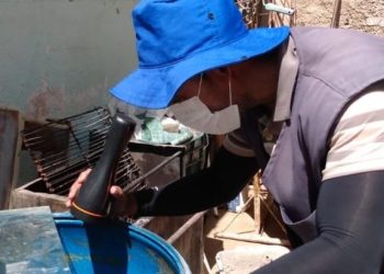 Combate ao Aedes aegypti: Patos registra menor índice de propagação dos últimos 6 anos