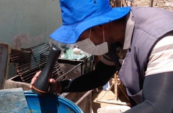 Combate ao Aedes aegypti: Patos registra menor índice de propagação dos últimos 6 anos