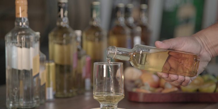 Areia conquista 12 medalhas em concurso mundial de destilados