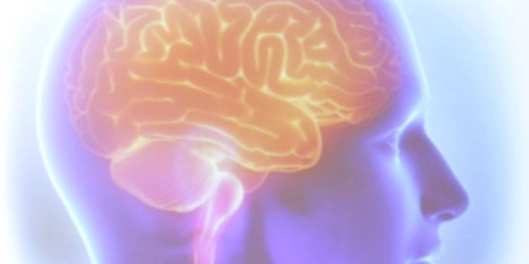 Organização Mundial do AVC alerta que 90% dos derrames são preveníveis