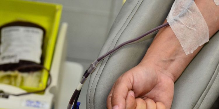 Mídia nacional volta a repercutir críticas de especialistas ao relatório de Daniella que propõe a venda de sangue