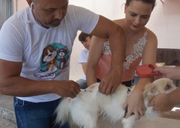 Prefeitura de João Pessoa imuniza cães e gatos em cinco pontos da cidade neste sábado