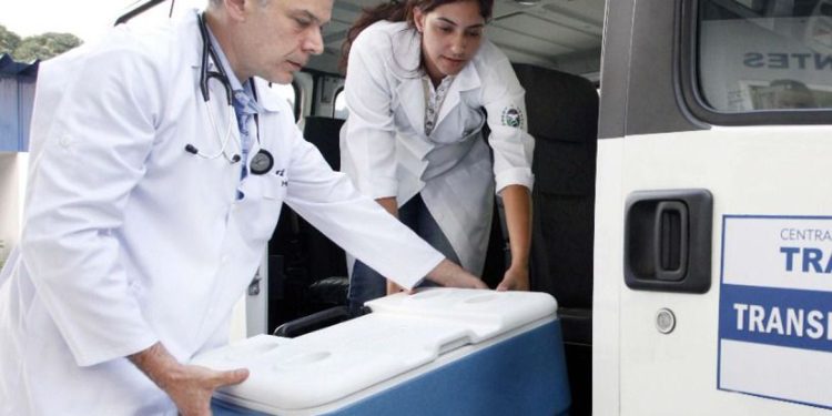 Lei institui política para incentivar doação e transplante de órgãos