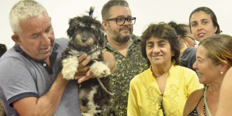 Campanha ‘Natal Pet Sem Fome’ é lançada em João Pessoa e pretende arrecadar duas toneladas de ração