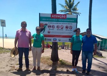 Prefeitura de Conde instala placas em praias para proteger áreas de desovas de tartarugas marinhas