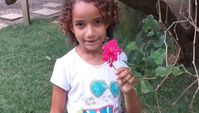 Delegado afirma: “Podemos dizer que Tiago Fontes assassinou Ana Sophia”