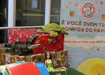 Governo federal reforça campanha do Papai Noel dos Correios
