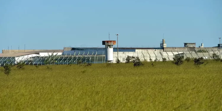 Governo Federal cria força penal contra crime organizado