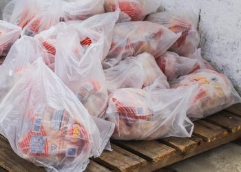 Prefeitura de Conde inicia entrega das aves natalinas atendidas pelos CRAS