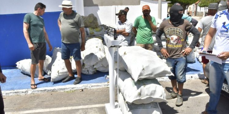 Governo da Paraíba distribui mais 40 toneladas de alimentos para famílias em situação de insegurança alimentar no Sertão