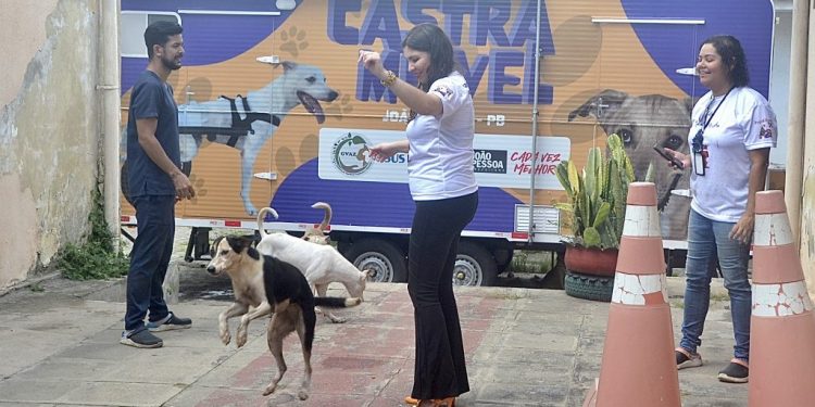 Natal dos Animais promove adoção responsável de animais abandonados