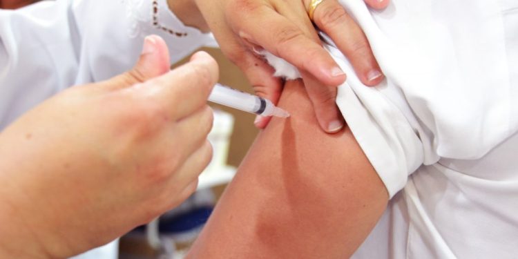 Prefeitura da Capital mantém atendimentos para vacinação antirrábica e antitetânica no Réveillon