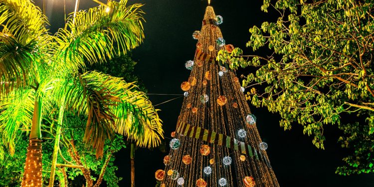 Bruno Cunha Lima abre oficialmente a edição dos 10 anos do Natal Iluminado 2023