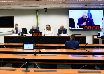 Comissão da Câmara autoriza estados a legislarem sobre armas