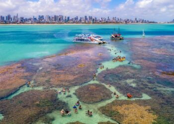 Paraíba bate recorde na oferta de assentos para a alta temporada 2023/2024