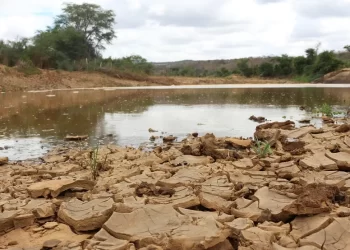 Governo Federal reconhece situação de emergência em 19 cidades paraibanas que enfrentam a estiagem