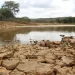 Governo Federal reconhece situação de emergência em 19 cidades paraibanas que enfrentam a estiagem