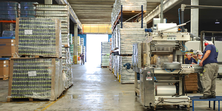 Setor de serviços na Paraíba registra 2º maior crescimento do País em outubro, revela IBGE