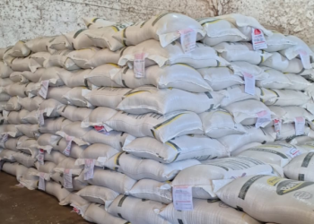 Prefeitura de Cajazeiras inicia distribuição de ração animal para criadores do município na segunda
