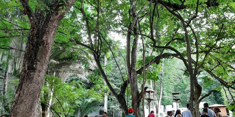 Entrada no Parque Arruda Câmara será de 1kg de alimento nos finais de semana de janeiro