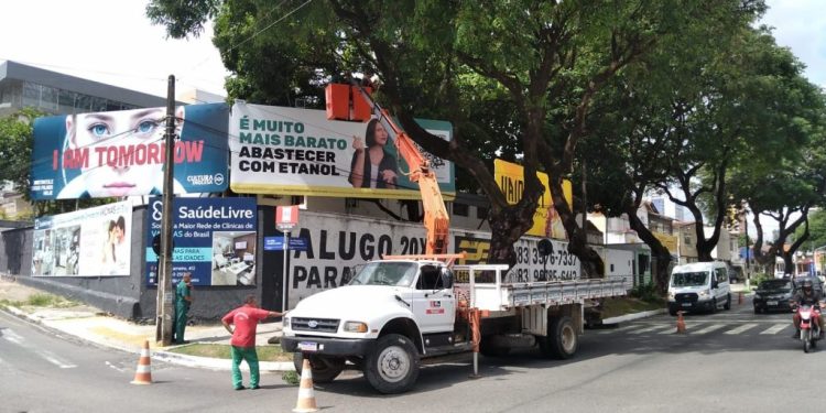 Sedurb realiza poda de árvores em ruas e avenidas onde terão desfiles de blocos