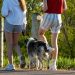 João Pessoa é reconhecida como cidade turística “pet friendly”