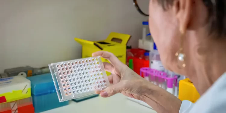 Butantan desenvolve teste que detecta leptospirose em estágio inicial