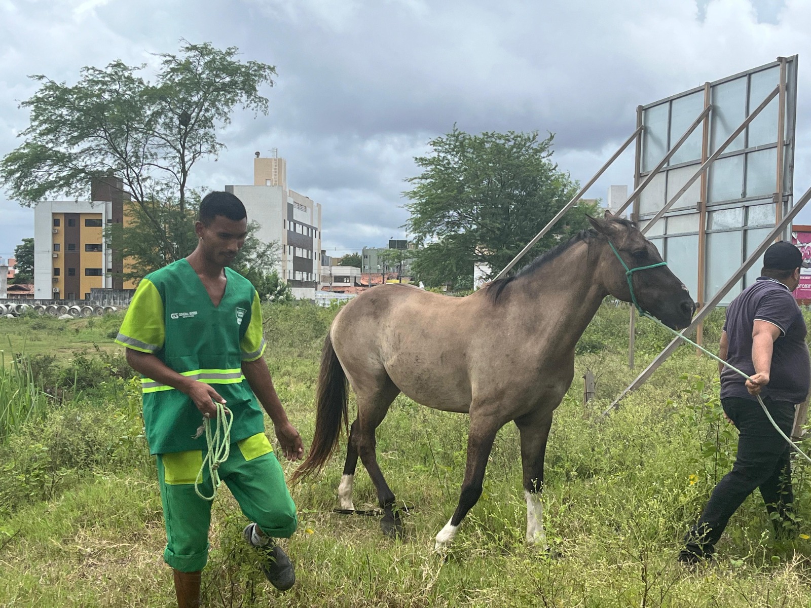 Prefeitura de Campina Grande inicia serviço de carro boiadeiro para resgate de animais de grande porte
