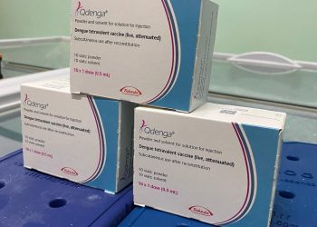 Vacinação contra a dengue em Santa Rita começa na próxima terça-feira; equipes das UBS já estão prontas