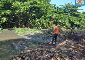 Defesa Civil começa serviço de limpeza e desassoreamento em novos trechos do Rio Jaguaribe