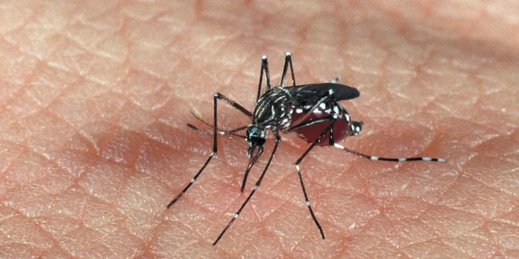 Paraíba confirma segunda morte por dengue em 2024