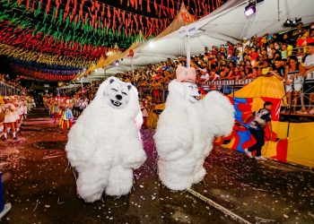 Apresentações das ala ursas arrancam aplausos do público na Duarte da Silveira