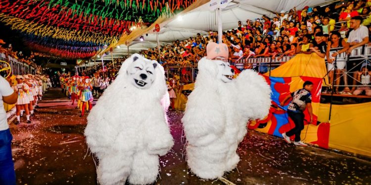 Apresentações das ala ursas arrancam aplausos do público na Duarte da Silveira