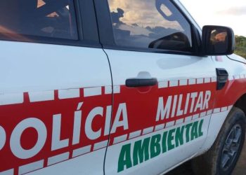 Batalhão Ambiental está em alerta para atender casos envolvendo animais silvestres nas ruas ou residências