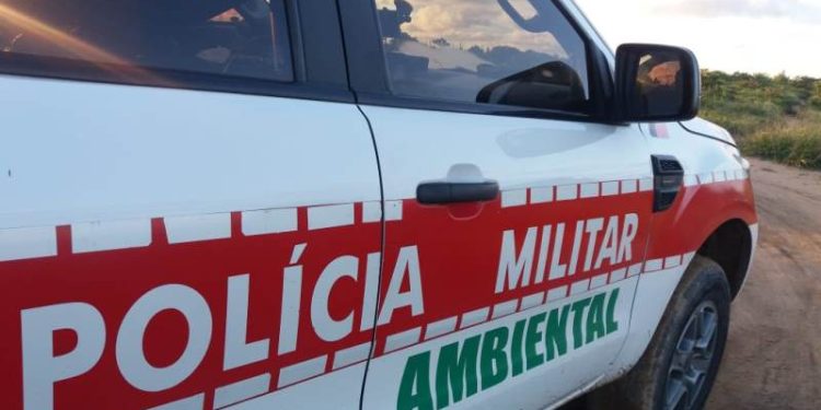 Batalhão Ambiental está em alerta para atender casos envolvendo animais silvestres nas ruas ou residências